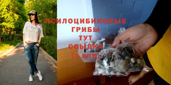 spice Ладушкин