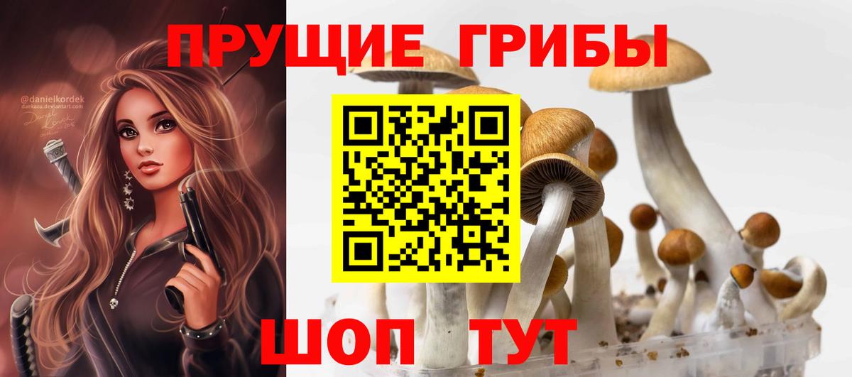 Моздок  Галлюциногенные грибы MAGIC MUSHROOMS  Вход с VPN 